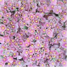 1 Bouquet of Paper Forget Me Nots in Light Pink