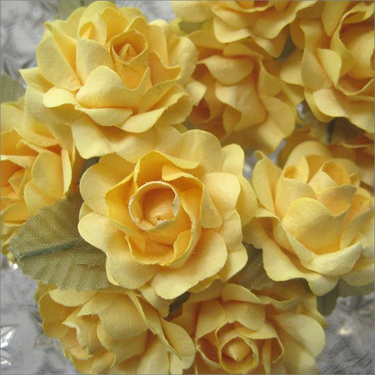 12 Yellow Paper Open Rose Flowers