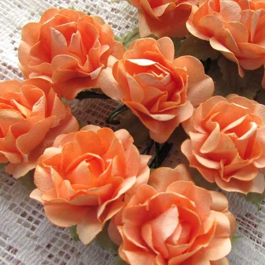 12 Medium Peach Open Rose Paper Flowers
