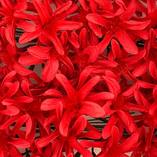 12 Red Paper Lilies or Star Flowers