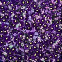 1 Bouquet of Paper Forget Me Nots in Royal Purple