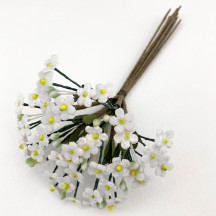 Bundle of Petite Velvet Forget me Nots ~ Czech Republic ~ WHITE