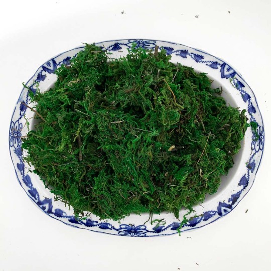 Preserved Natural Moss for Craft Projects and Easter Baskets ~ Green ~ 50g in Bag