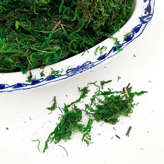 Preserved Natural Moss for Craft Projects and Easter Baskets ~ Green ~ 50g in Bag
