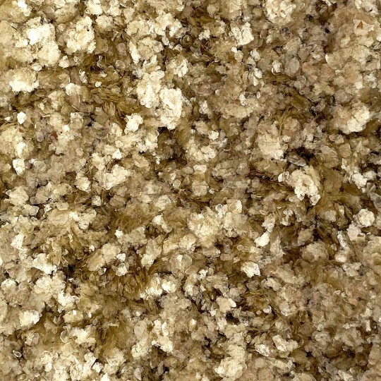 Small Flake Natural Mica Flakes for Craft Projects ~ 2 oz. ~ Champagne