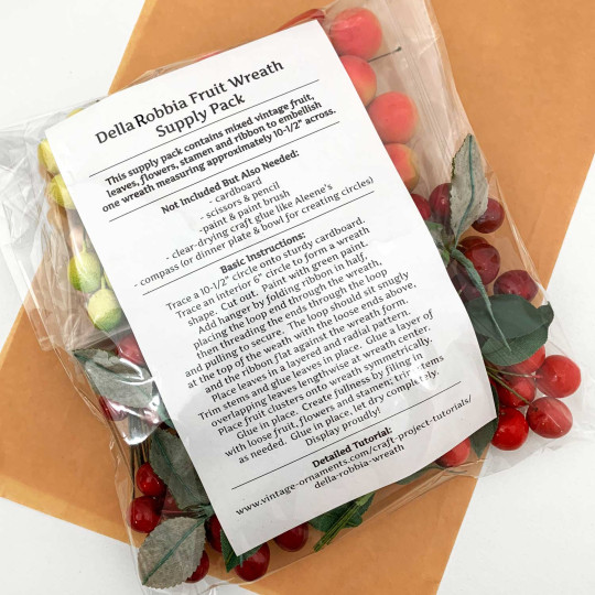 Della Robbia Fruit Wreath Supply Pack