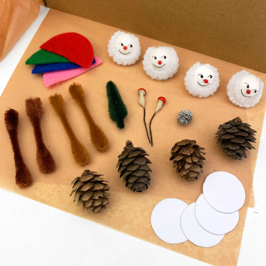 Pine Cone Gnomes Project Kit ~ Czech Republic