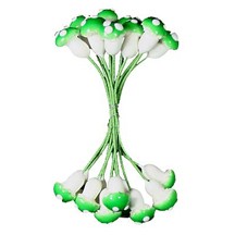 20 Large Compostition Mushroom Stamen from Germany ~ Green