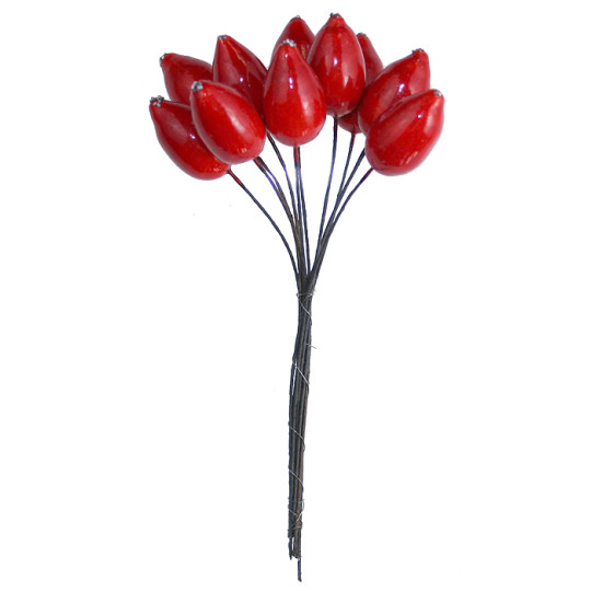 10 Red Lacquered Rose Hips ~ 1" ~ Czech Republic