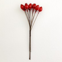 10 Red Lacquered Rose Hips or Berries ~ 1/2" ~ Czech Republic