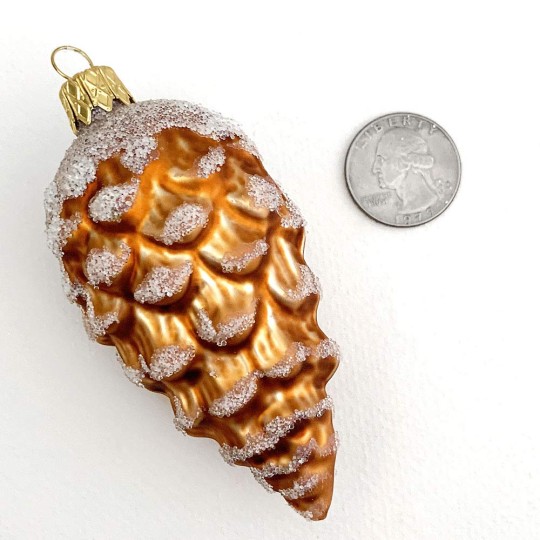 Caramel Brown Pine Cone with Open Scales ~ Czech Republic ~ 3-1/2" long