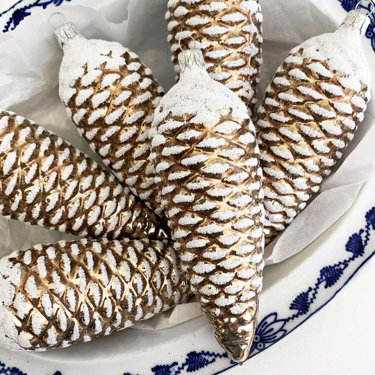Long Light Brown Pine Cone ~ Czech Republic ~ 5-1/2" long