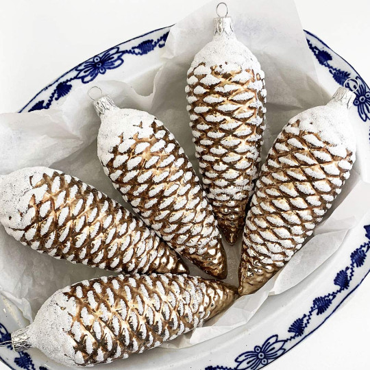 Long Light Brown Pine Cone ~ Czech Republic ~ 5-1/2" long