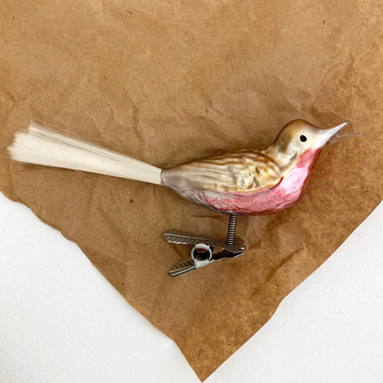 Open Mouthed Bird on Clip Blown Glass Ornament ~ Germany ~ 5" long