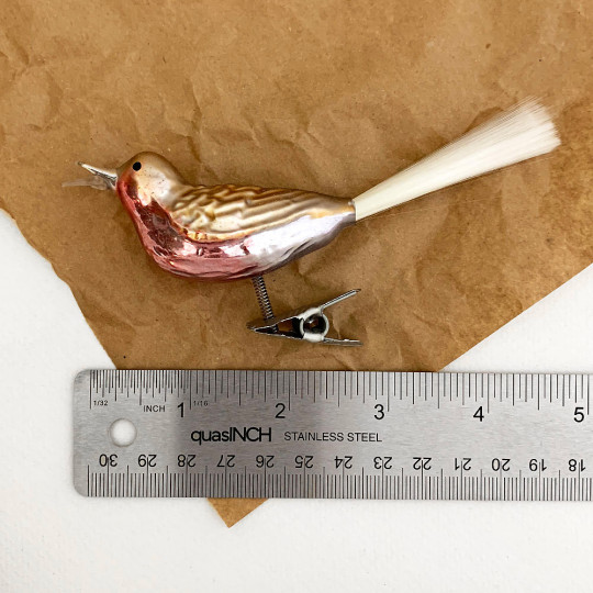 Open Mouthed Bird on Clip Blown Glass Ornament ~ Germany ~ 5" long
