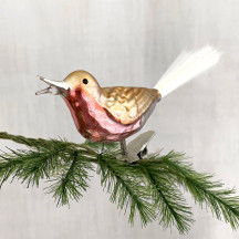 Open Mouthed Bird on Clip Blown Glass Ornament ~ Germany ~ 5" long