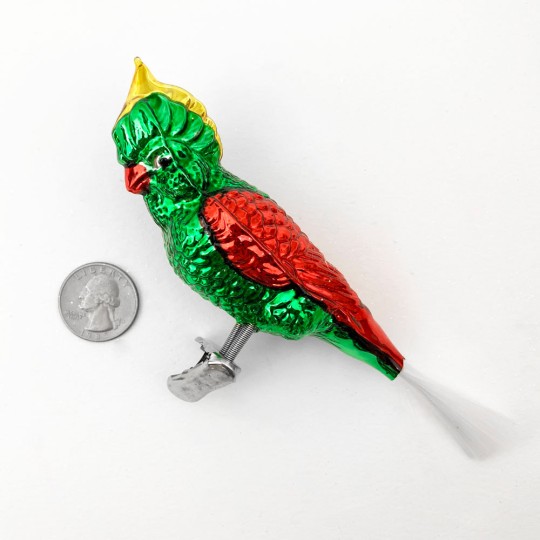 Clipping Parrot Blown Glass Christmas Ornament ~ Germany ~ 6" long