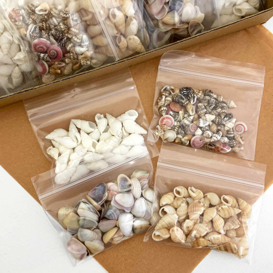 Mixed Pack of Miniature Seashells for Sailor's Valentine Ornament Tutorial ~ 1.5oz 