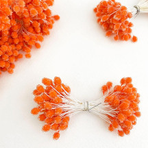 Sparkling Orange Berry Peps ~ Stamen for Vintage Crafts
