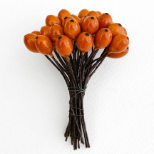 36 Lacquered Autumn Orange Berries with Black Dots~ 3/8"