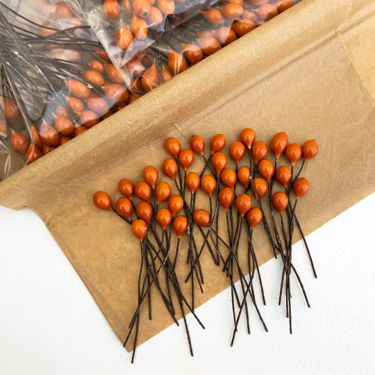 36 Lacquered Autumn Orange Berries with Black Dots~ 3/8"