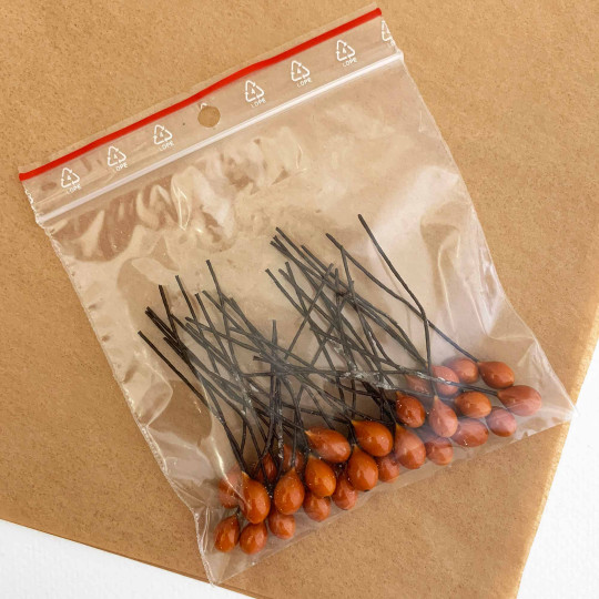 36 Lacquered Autumn Orange Berries with Black Dots~ 3/8"