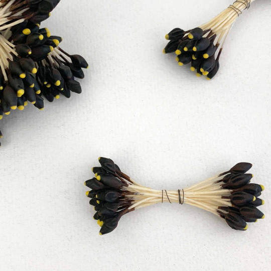 Brown and Yellow Shaped Flower Stamen