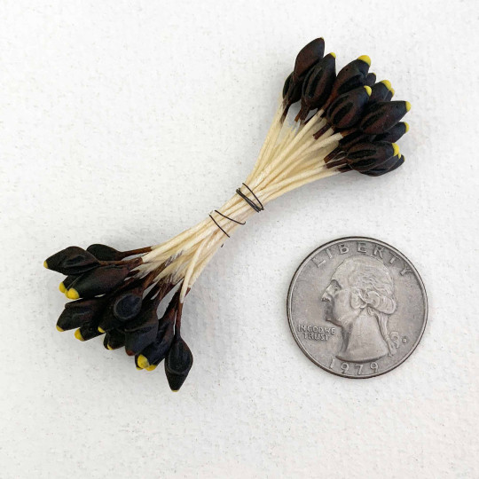 Brown and Yellow Shaped Flower Stamen