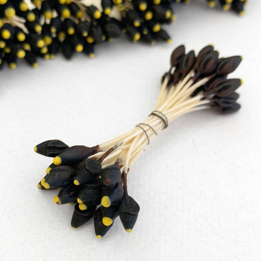 Brown and Yellow Shaped Flower Stamen