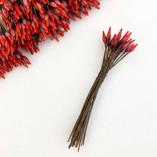 Long Stem Red and Brown Czech Flower Stamen
