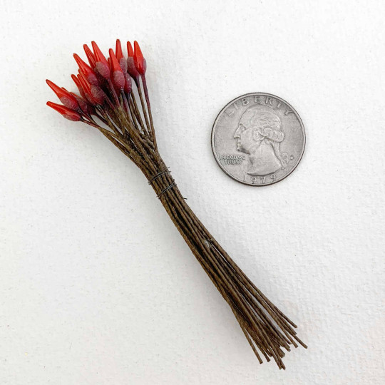 Long Stem Red and Brown Czech Flower Stamen