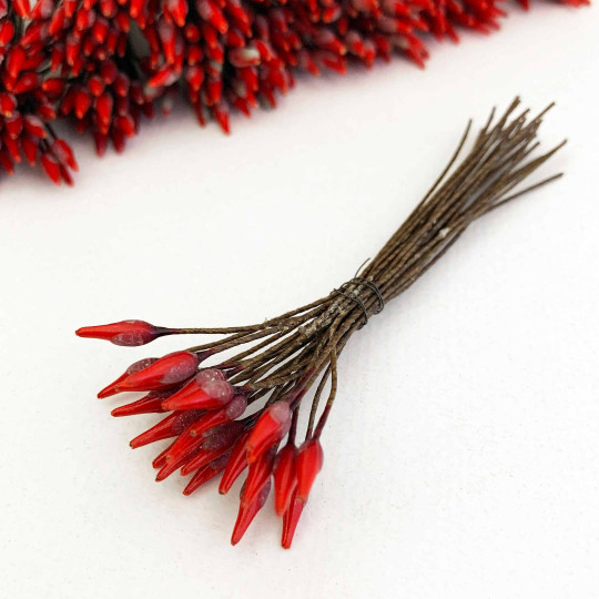 Long Stem Red and Brown Czech Flower Stamen