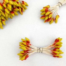Red and Yellow Czech Flower Stamen