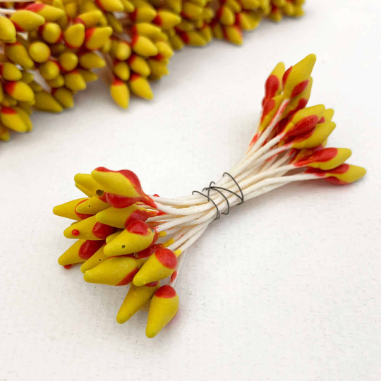Red and Yellow Czech Flower Stamen