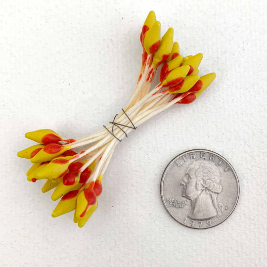 Red and Yellow Czech Flower Stamen