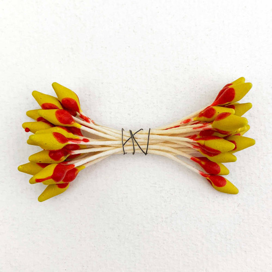 Red and Yellow Czech Flower Stamen