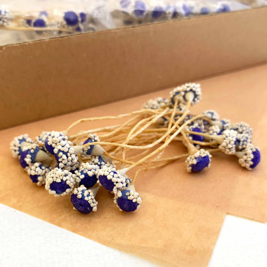 Blue and White Pollen Flower Stamen