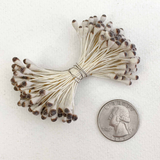 Fuzzy White and Brown Czech Flower Stamen