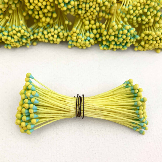 Yellow and Aqua Flower Stamen ~ Germany