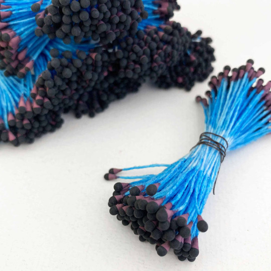 Black and Dark Rose with Blue Flower Stamen ~ Germany