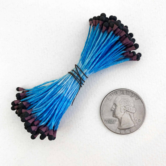 Black and Dark Rose with Blue Flower Stamen ~ Germany