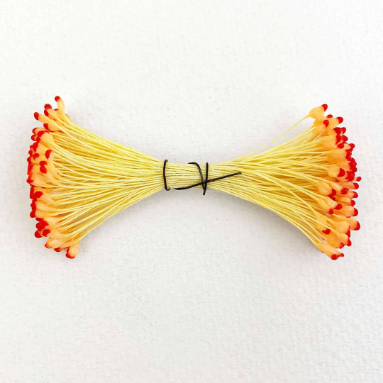 Yellow and Red Vintage Flower Stamen Tips ~ Germany