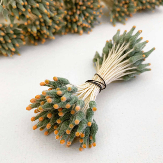 Sage and Orange Fuzzy Pointed Vintage Flower Stamen Centers ~ Germany