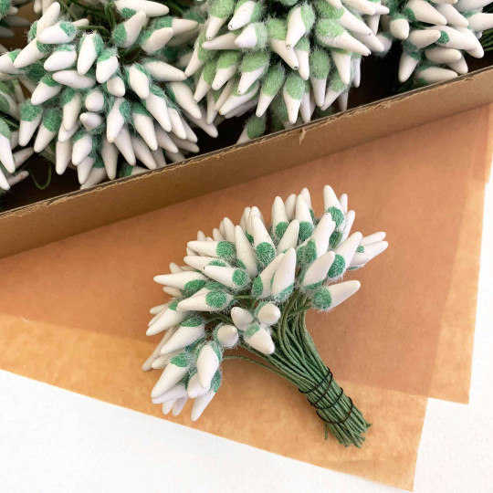 White and Green Fuzzy Pointed Vintage Flower Stamen Centers ~ Germany