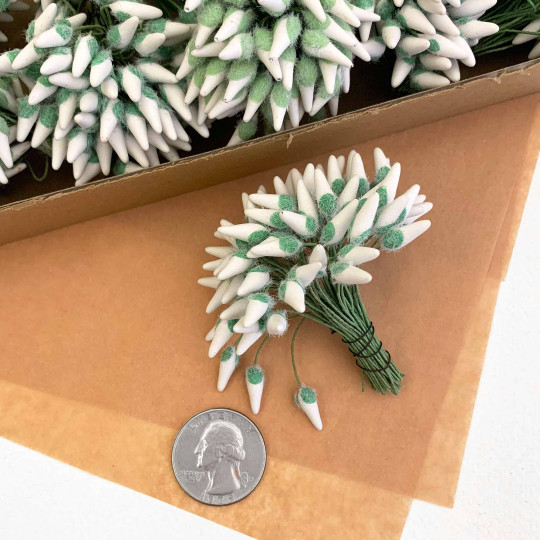 White and Green Fuzzy Pointed Vintage Flower Stamen Centers ~ Germany