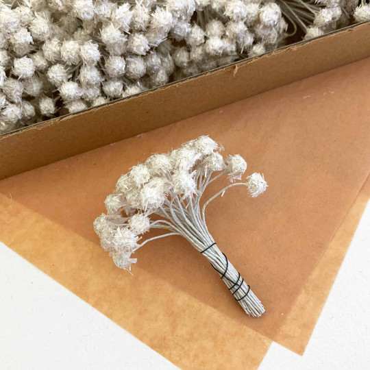 Flocked Pearled Nacre Vintage Flower Stamen ~ Germany
