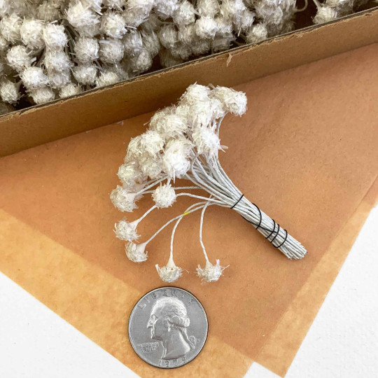 Flocked Pearled Nacre Vintage Flower Stamen ~ Germany
