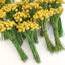 Yellow Textured Pollen Flower Centers Stamen ~ Wired Green Stems