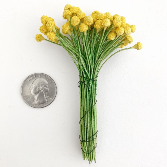 Yellow Textured Pollen Flower Centers Stamen ~ Wired Green Stems