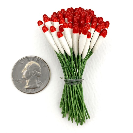 Long Red and White Cigar Stamen with Green Wired Stems